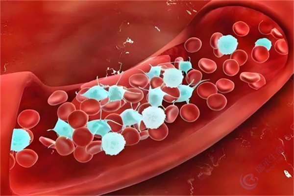 抗心磷脂抗体综合征可以通过试管技术生孩子吗？