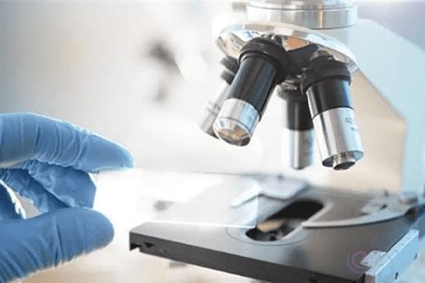 试管婴儿周期中获得11个囊胚，能过筛多少个？