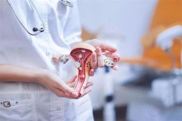 子宫肌瘤有什么症状表现？对胚胎移植有影响吗？