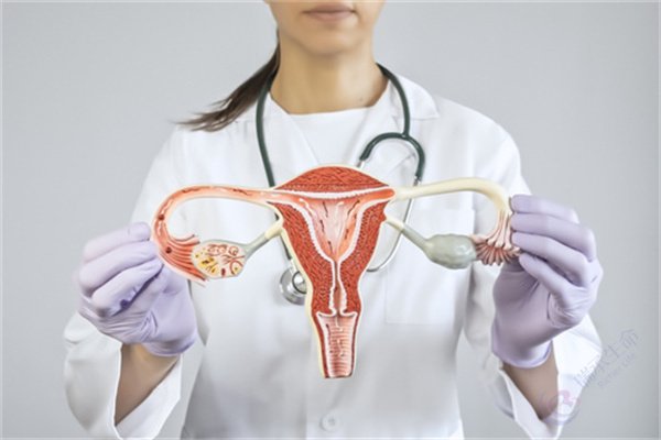试管婴儿移植之前，子宫内膜的标准是什么？