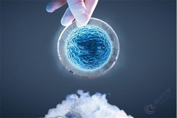 试管婴儿过程中为什么要保存胚胎？有哪些优势？