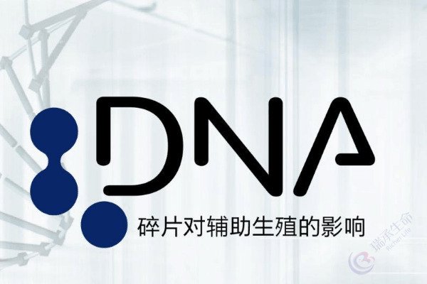 精子DNA碎片率高：备孕路上的"隐形隐患"，如何科学破解？