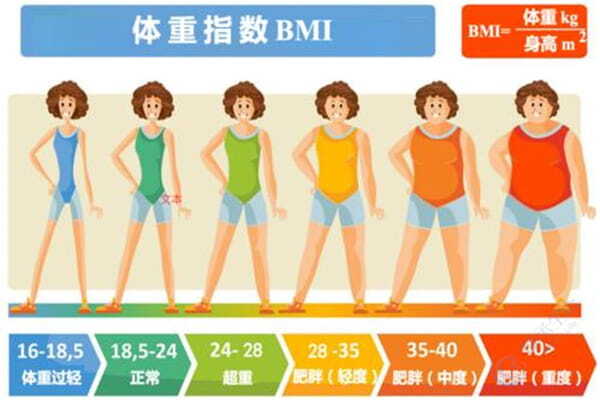 BMI过高或过低，都在悄悄影响你的试管成功率！现在管理还不晚
