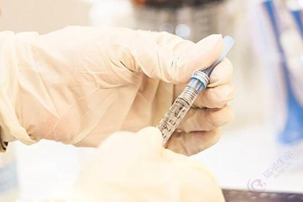 试管婴儿提升获卵率的关键——合理注射破卵针