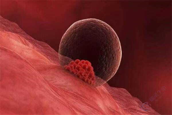 做试管婴儿，如何避免空囊？一份科学且温暖的备孕指南