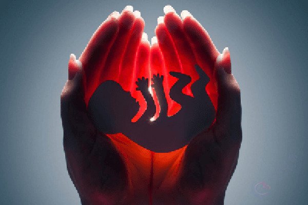 做试管为何提倡单囊胚移植？放多个囊胚成功率就高吗？