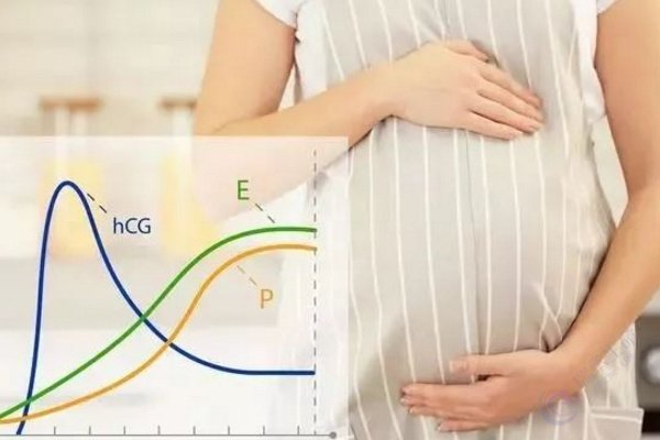 试管成功的地基：为何激素平衡是你无法跳过的第一步？