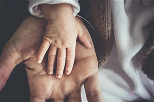 《Nature》揭示：缺乏“铁”元素，孕期胚胎或会发生性别逆转！