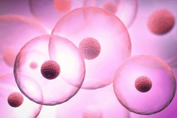 卵泡成熟关键期，2个方法强助攻！差卵或能变优质~