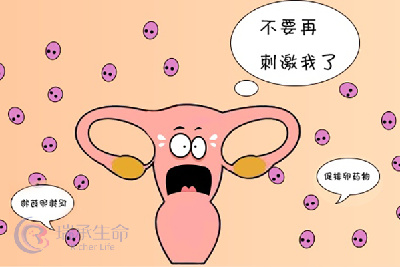 雌激素高做试管婴儿能移植吗,成功率高不高?