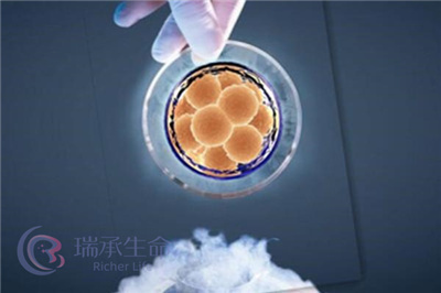 雌激素高做试管婴儿能移植吗,成功率高不高?