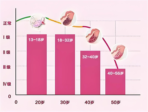 试管婴儿科普:卵泡发育迟缓,导致因素有这几个!