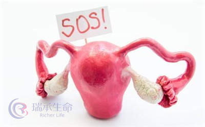 试管婴儿科普:卵泡发育迟缓,导致因素有这几个!