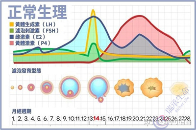 月经不规律对女性怀孕的影响大吗?做试管婴儿如何提高成功率?