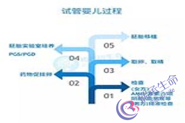 南昌健康生殖医院试管好不好？技术诊疗水平如何？