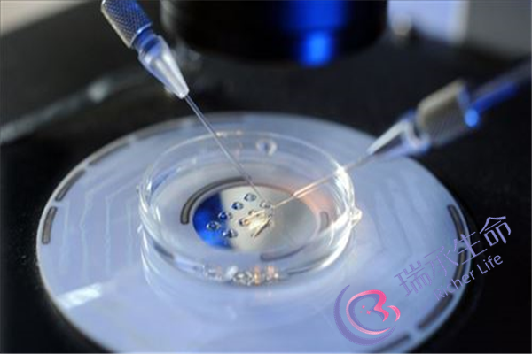 如何选择试管婴儿医院？怎样选择济南的试管婴儿医院？