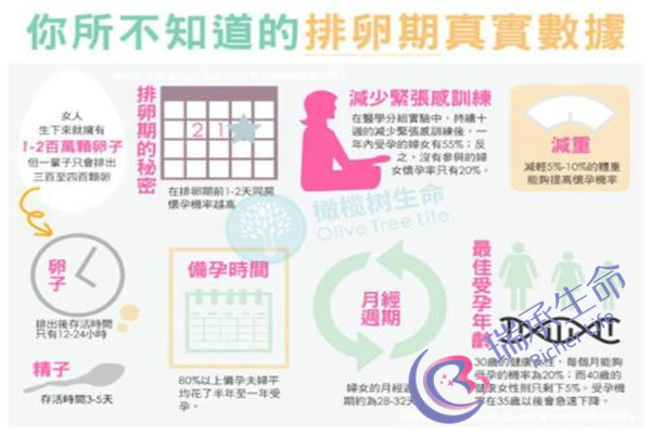 第四代试管婴儿医院有哪些？哪个医院可以去？