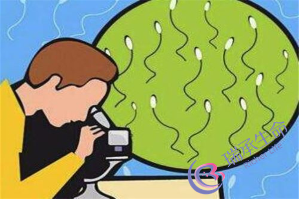 刘湘源和付锦华谁好？谁的技术水平会更高一些？
