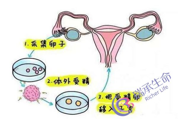 天津试管婴儿多少钱医疗服务？怎样才能省钱？