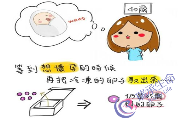 山西妇幼保健院试管婴儿流程是什么？如何做试管婴儿？